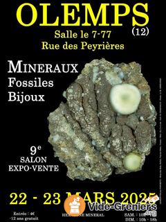 Photo de l'événement 9e salon mineraux fossiles bijoux de olemps (aveyron)