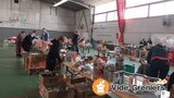 Photo Bourse aux jouets de L'APE Matern'happy à Lézat-sur-Lèze