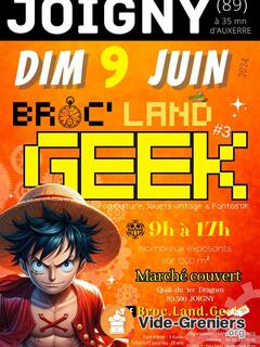 Photo de l'événement Broc ' Land Geek JOIGNY