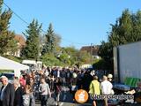 Brocante d’automne à Brenouille