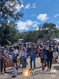 Photo Brocante Le Jas des Robert à Cogolin