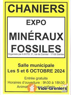 Photo de l'événement Exposition vente Minéraux et Fossiles