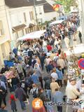 Photo Fête du Cidre et Brocante à Beton-Bazoches