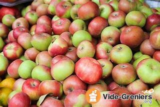 Photo de l'événement fête de la pomme et foire à tout