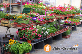 Marché aux fleurs