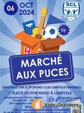 Photo Marché aux puces 2024 à Lunéville