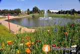 Photo ODY Vide-Greniers à Blagnac