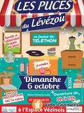 Photo Les Puces du Lévézou en faveur du téléthon à Vézins-de-Lévézou