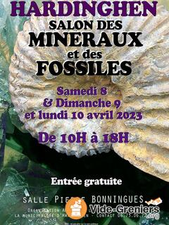 Photo de l'événement Salon des mineraux et fossiles