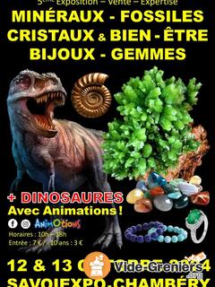 Photo de l'événement Salon Minéraux Fossiles et Exposition Dinosaures