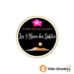 Photo de l'événement Vide Grenier - Les 3 Roses des Sables