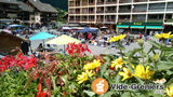 Photo Vide Grenier à Saint-Jean-de-Sixt