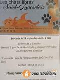 Vide grenier association des chats libres saint Laurentais