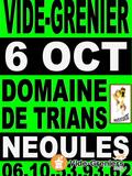 Vide grenier brocante au domaine de trians