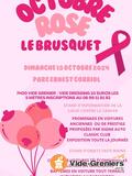 Photo Vide grenier et vide dressing d'Octobre Rose à Le Brusquet