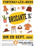 Vide Grenier Fontenay les Briis