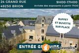 Vide Grenier aux Jardins d'Iroise de Brion