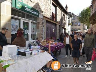 Photo de l'événement Vide-greniers de la fête de la châtaigne