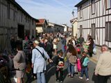 Foyer Rural de Saint Amand sur Fion