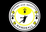 Handball Saint-Avé